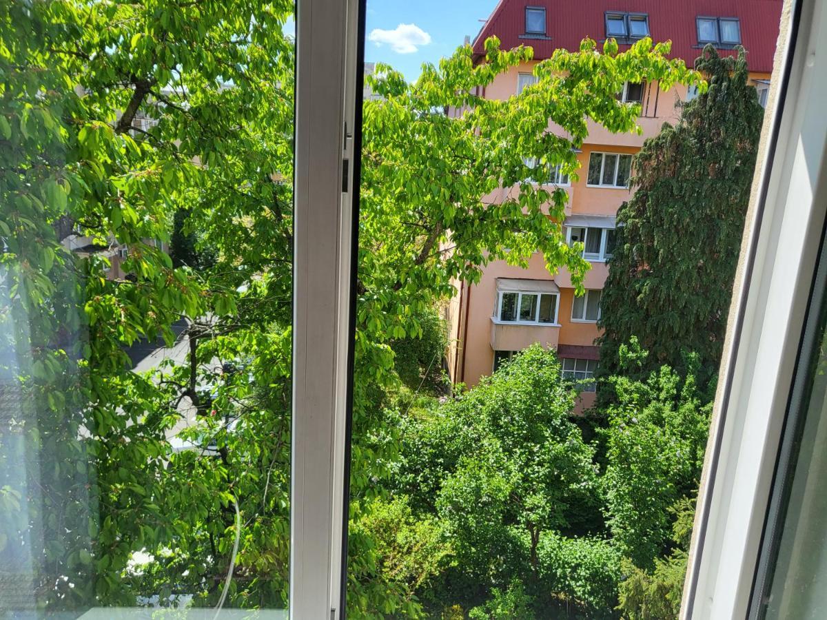 Apartament Florilor Baia Mare Eksteriør bilde